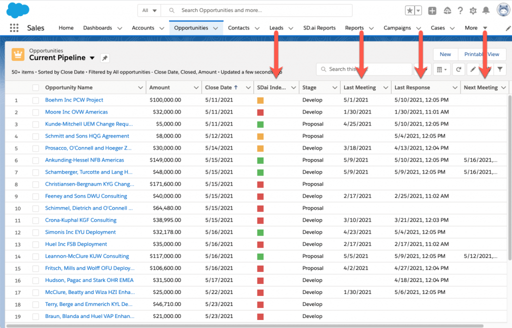 Analyzed Opportunity Fields inside Salesforce SalesDirector.ai, Inc