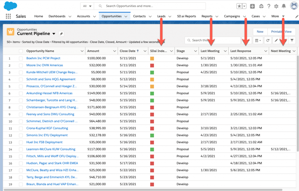 Analyzed Opportunity Fields Inside Salesforce SalesDirector ai Inc