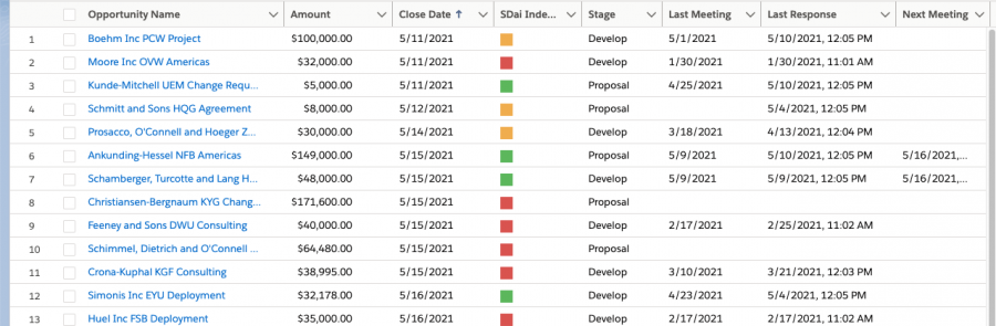 Salesforce Opportunity